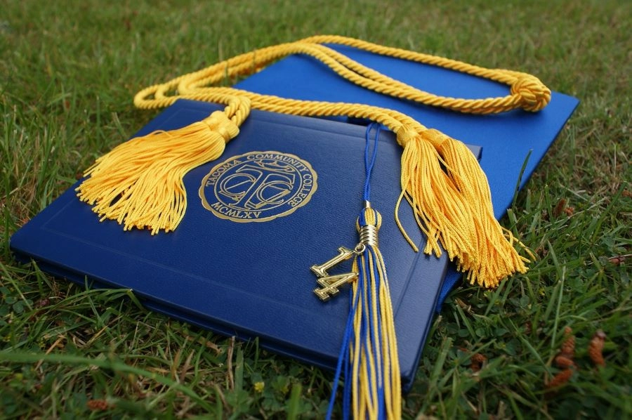 MEDICINA, PRAVO, ŠTA GOD POŽELIŠ... Profesori i rektori priznali prodaju lažnih diploma